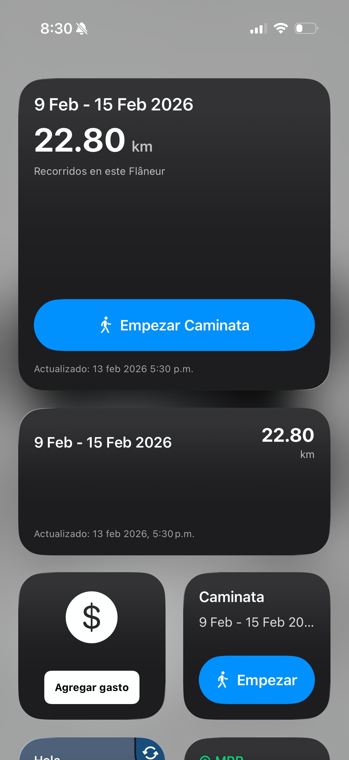Widget de caminata